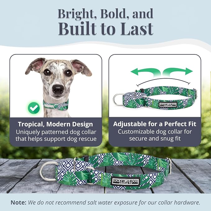 Lucky Love Dog Martingale Collar for Medium Dogs Cute – Blue Laguna, Medium