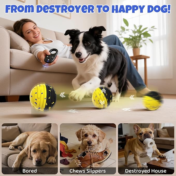 Interactive Dog Toy Ball with Remote Control - for Dogs, Yellow/Black Ball
