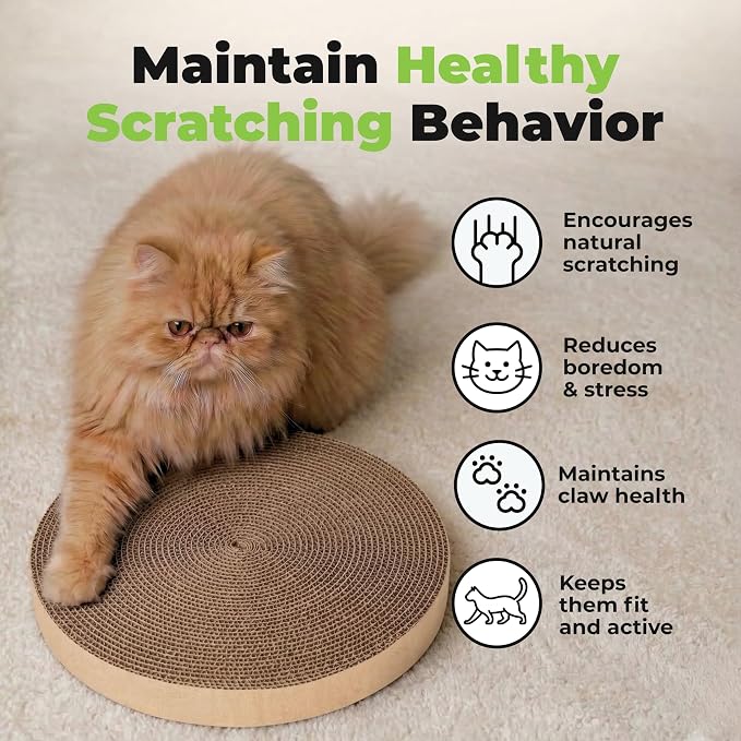 Catify Spin n' Scratch Cat Scratch Pad Refill - Round, 5-Pack | Corrugated Cardboard, Double Sided Cat Scratching Pad, Indoor Furniture Protector, Durable, For Kittens and Cats,
