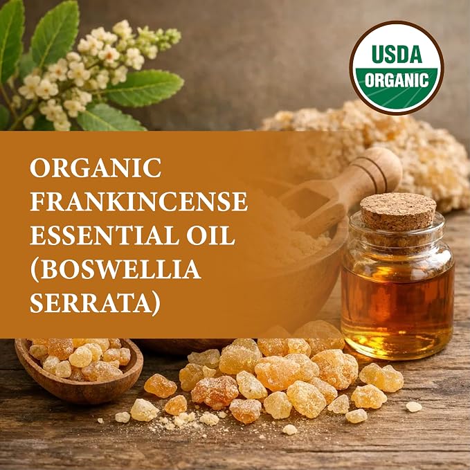 Organic Frankincense Serrata Essential Oil - Steam Distilled Boswellia Serrata Oil, Warm Woody Aroma, Base Note Essential Oil for Aromatherapy, Skincare and DIY Cosmetic Blends - 10 ml