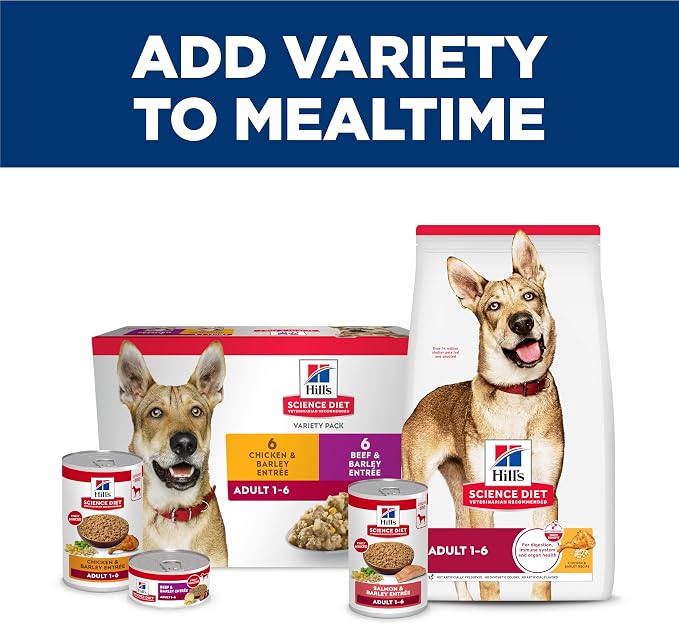 Hill's Science Diet Adult 1-6 Wet Dog Food | #1 Veterinarian Recommended, Salmon & Barley, 13 oz. Cans, 12-Pack