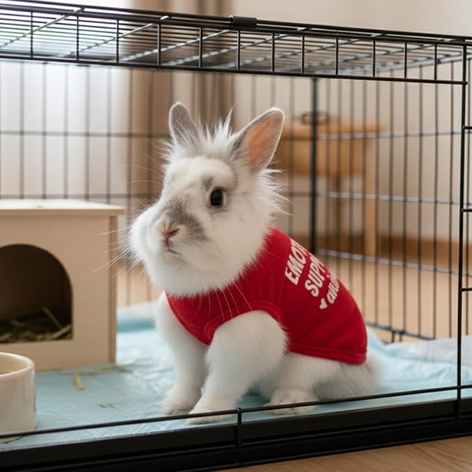 Guinea Pig Clothes (2-Pack), Soft Small Animal Vest T-Shirt | Breathable Small Pet Apparel & Costume for Rat, Guinea Pig, Rabbit, Chinchilla, Ferret, Kitten