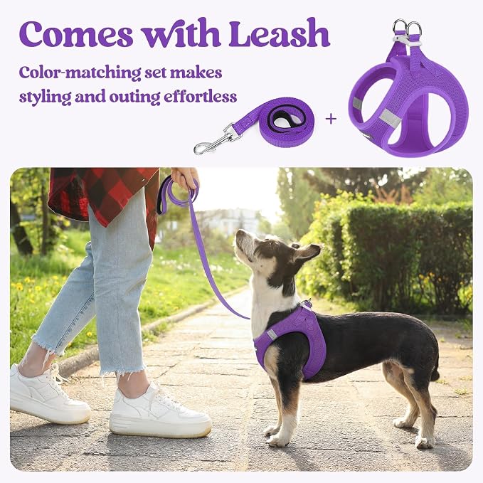 rabbitgoo Dog Harness Medium Sized and Leash Set, Step-in Puppy Pet Vest | Light, Soft, Breathable Air Mesh, Easy on and Remove with Hook & Loop, Secure Reflective for Walking, Purple L