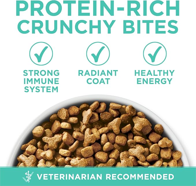 Purina ONE Sensitive Skin and Stomach Dry Cat Food 22 lb Bag