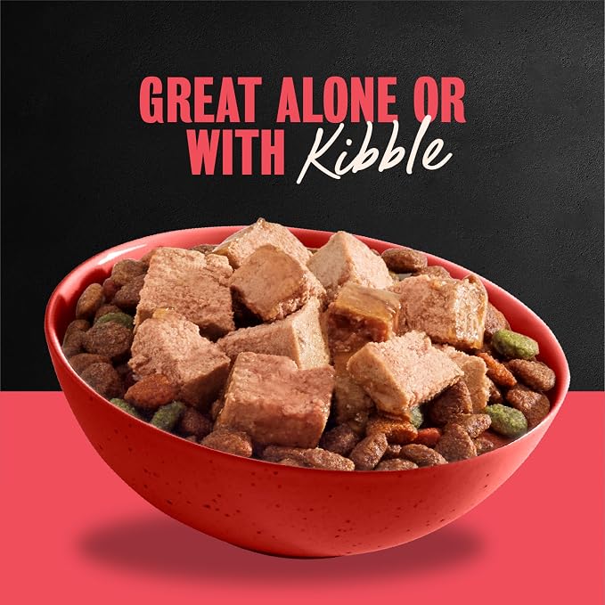 Cesar Classic Loaf in Sauce Wet Dog Food, Beef Recipe, 3.5 oz, 24 Count | Real beef #1 ingredient, Made in USA, Easy peel trays, no fillers/added sugar/artificial flavors, use as meal or topper