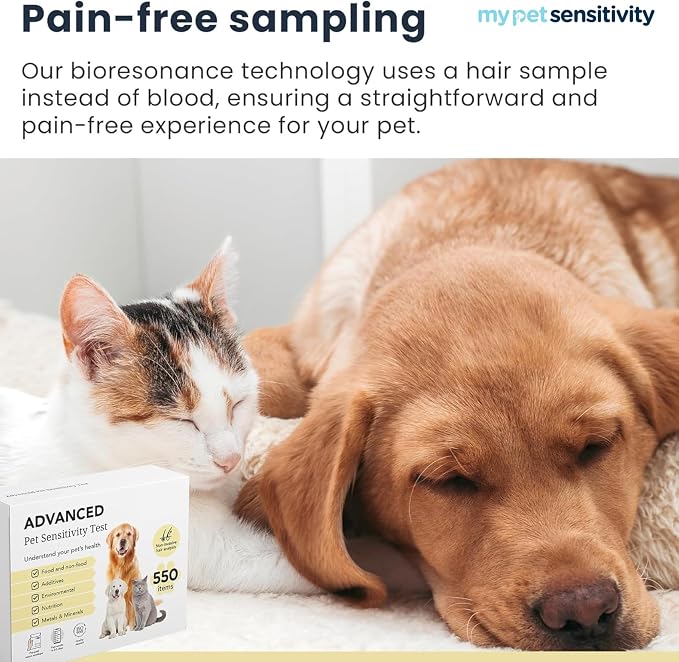Intolerance Test for Dogs & Cats | 1,100 Items Tested | Hair Sample | Intolerance/Sensitivity test for your pet. Screens 550 food, environmental and nutritional items. Quick results in 3–5 days
