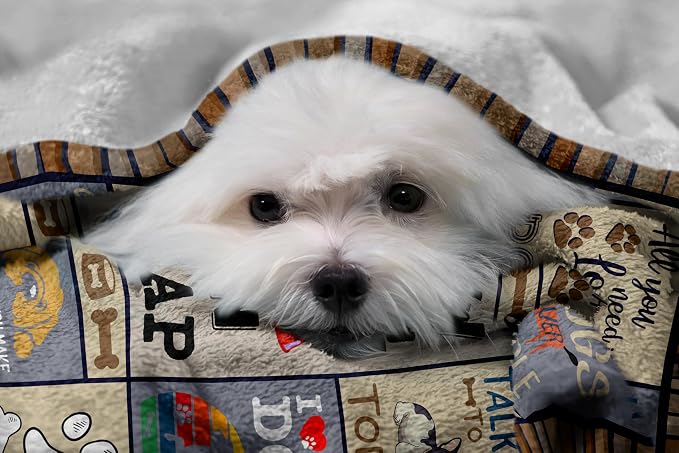 Dog Mom Gifts for Women, Dog Lovers Gifts for Women Blanket 50"x60" | Gifts for Dog Lovers, Dog Gifts for Women, Dogs Mom Blanket, Soft Throw Blanket with Dogs on It for Birthday/Christmas