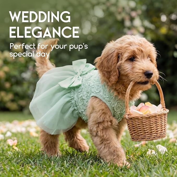 ASENKU Dog Dress Pet Wedding Dress Puppy Birthday Party Outfit, Green XS | Dog Flower Girl Dress With Leash Hole, Princess Puppy Dress For Weddings, Daily Wear, Fits Small Medium Large Dogs Cats