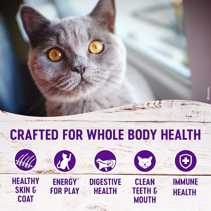 Wellness Natural Pet Food Complete Health Natural Grain Free Deboned Chicken & Chicken Meal Dry Kitten Food, 5.5 Pound Bag (Pack of 2)