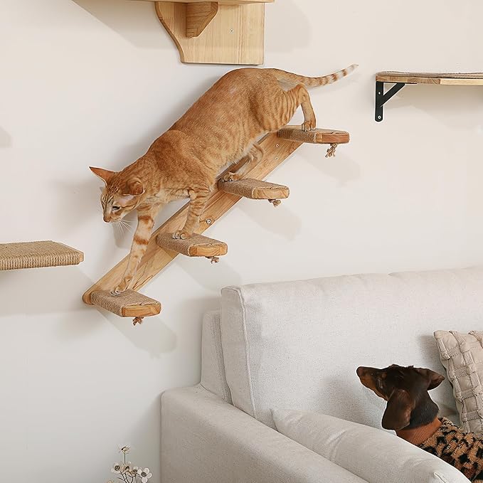 FUKUMARU Cat Climbing Shelf Wall Mounted, Large | Four Step Cat Stair, Natural Jute Scratching, Solid Rubber Wood, Kitten Shelves Furniture