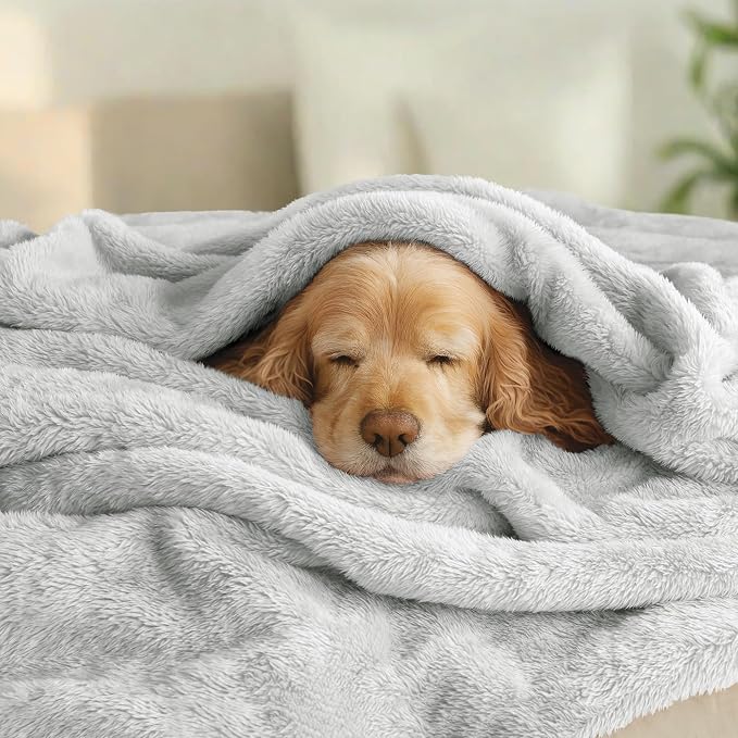Exclusivo Mezcla Fuzzy Plush Fleece Bed Blanket Queen Size, Light Grey | 90x90 Inches, Super Soft and Cozy Bed Blanket, Fluffy Decorative Bedding for Livingroom, Bedroom, All Season