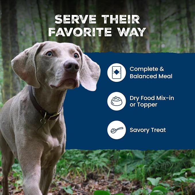 Blue Buffalo Wilderness Variety Pack Adult Wet Dog Food, 12.5 oz, 6 ct | Beef & Chicken Grill and Chicken & Salmon Grill (3 of each), High Protein & Grain-Free Recipes, Natural Ingredients