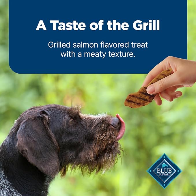 Blue Buffalo Nudges Grillers Salmon Dog Treats, 16 oz | Real Salmon First, Oven-Dried, Easy to Tear, For All Breed Sizes, No Artificial Preservatives