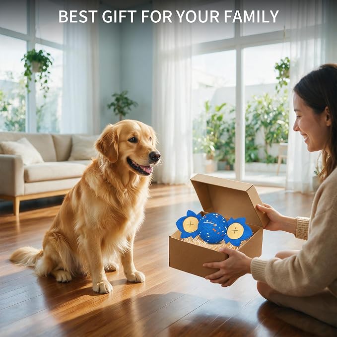 Snitch Ball, Interactive Dog Ball Replacement Shell, Blue