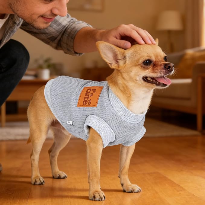 2 Pack Dog Shirt Vest Dog Clothes for Small Dogs Summer Waffle Puppy T-Shirts Soft Sleeveless Pet Clothes Lightweight Medium Large Doggy Outfit Cat Clothing (Blue+Grey, Small)