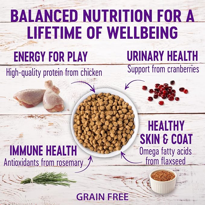 Wellness Natural Pet Food Complete Health Natural Grain Free Deboned Chicken & Chicken Meal Dry Kitten Food, 5.5 Pound Bag (Pack of 2)