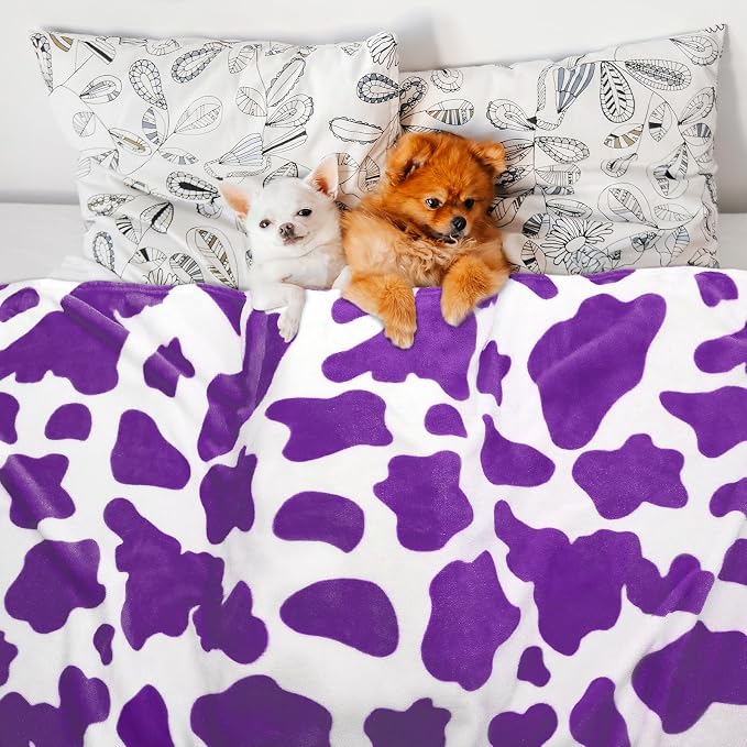 HSEEC Purple Blanket Queen Size Bed Soft Throw Blankets for Couch, Lightweight Fuzzy Fleece Lavender Throw for All Seasons - Purple Cow Gifts, Cute Bedroom Decor for Women Girls 90" x 90"
