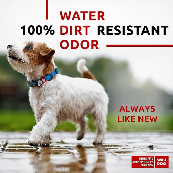 WAUDOG Waterproof Dog Collar Airtag Holder QR Tag Small Medium Large Dogs | Water and Dirt Resistant, Quick Dry QR Pet Tag Adjustable Durable Comfort for Male and Female Dogs Outdoor Walking Training