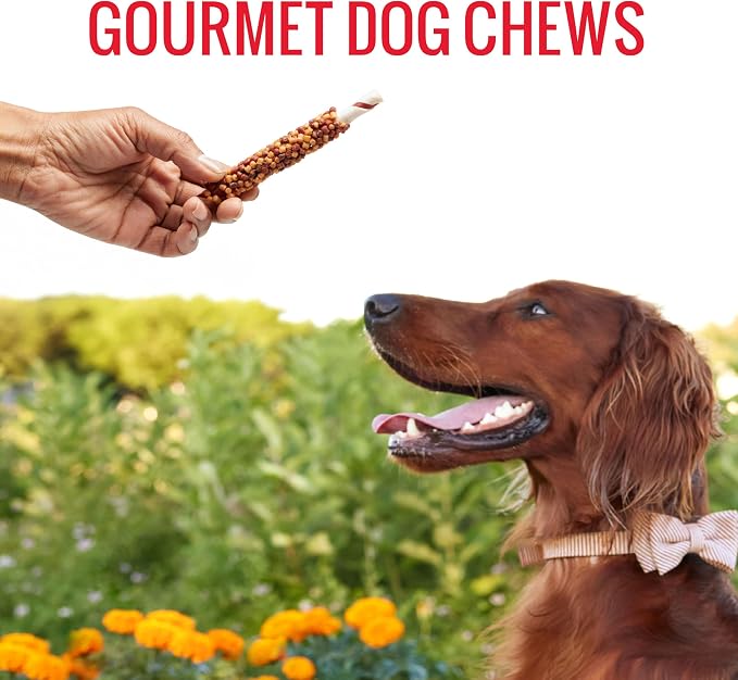 GOOD 'N' FUN Blasts Long-Lasting Dog Treat Made with Real Protein, 12 oz | Premium Chicken, Duck, Pork and Beef Hide Chew, Supports Dental Health and Mental Stimulation, For Adult Dogs