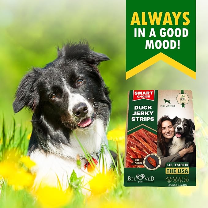 Beloved Pets Dog Treats Duck Jerky Strips - Human Grade Meat Sticks - Natural Pet Dried Snacks Rawhide - Free - Long Lasting Chews for Large & Small Dogs (10.6 oz (Pack of 1), Duck Jerky Strips)
