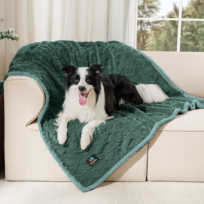 Luciphia Waterproof Dog Blanket, Reversible Sherpa Fleece for Couch Cover | Reversible waterproof pet blanket with soft Sherpa fleece; machine washable, protect couch bed car, Green-thicken 65" x 57"