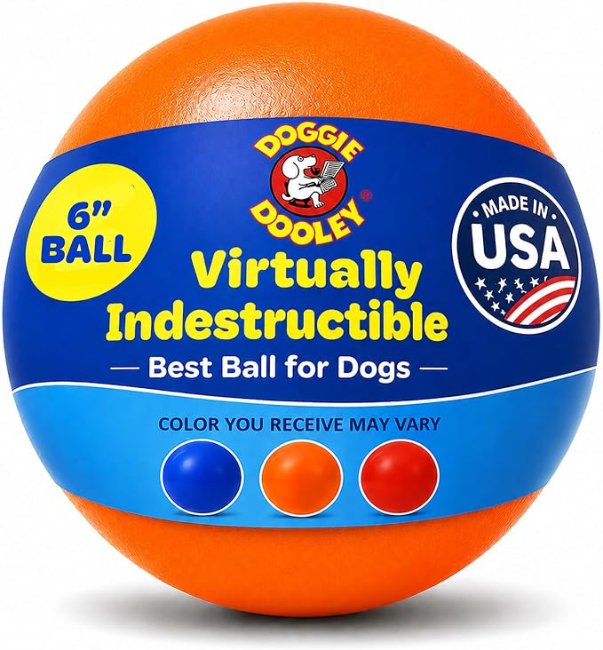 Doggie Dooley Virtually Indestructible Dog Ball - 6 Inch Hard Plastic Interactive Dog Toy for Large Breeds Over 15-50 lbs - Built for Herding & Push Play -Floats in Water, Made in USA -Colors May Vary