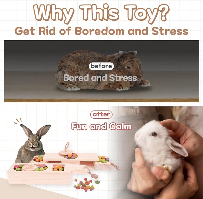 SoulThink® Advanced Interactive Wooden Pet Rabbit Toys - Sniff n' Snack Bunny Chew Toys for Rabbit Treats, Suited for Chinchilla Foraging, Guinea Pigs Boredom, and Hamster Enrichment (2 Set)