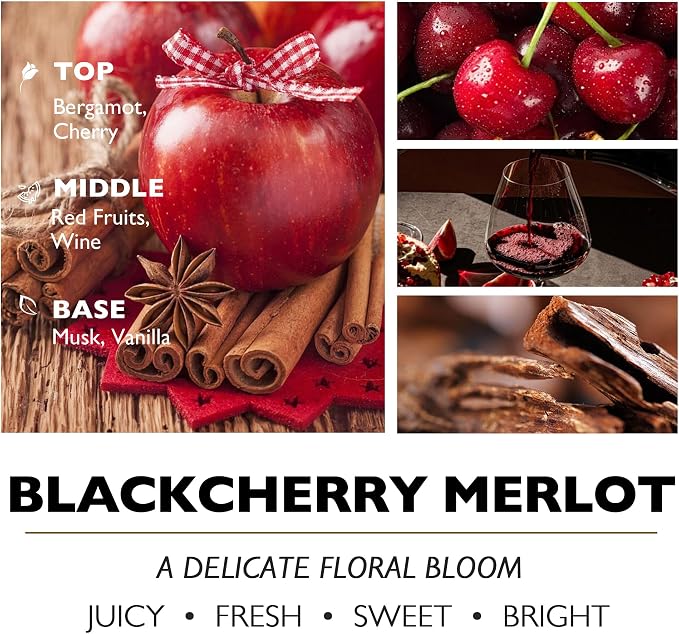 HomeLights Soy Wax Candles for Home Scented, 3-Wick Candles in Blackcherry Merlot Scented, Aromatherapy Candles Gift for Parties, Relaxing, Eclectic Mixed Styles, 34oz