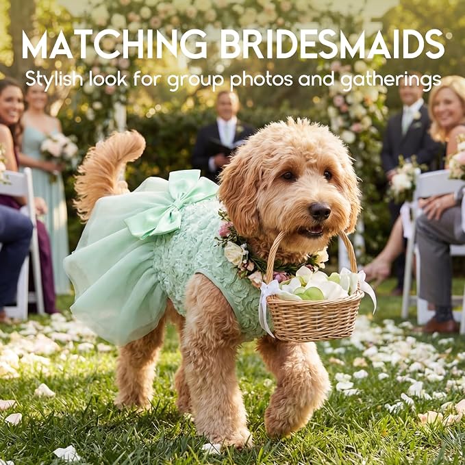 ASENKU Dog Dress Pet Wedding Dress Puppy Birthday Party Outfit, Green XXS | Dog Flower Girl Dress With Leash Hole, Princess Puppy Dress For Weddings, Daily Wear, Fits Small Medium Large Dogs Cats