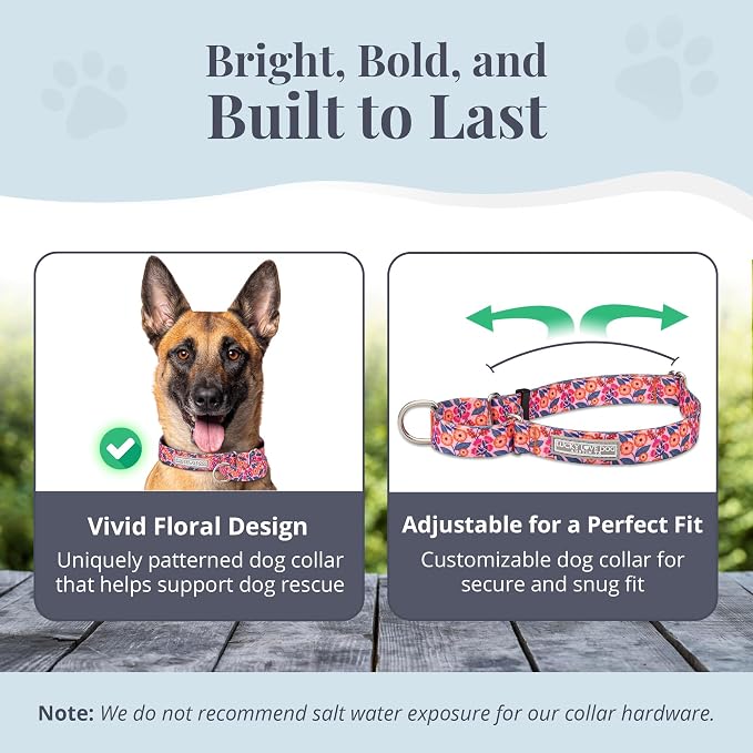 Lucky Love Dog Martingale Collar & Leash Set No Slip Cute – Rosie, Large