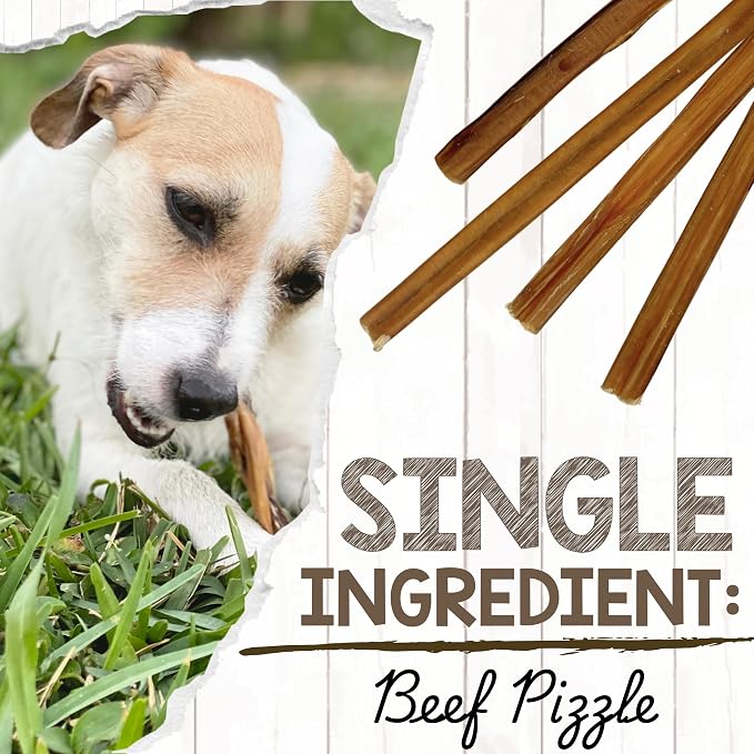 Nature Gnaws Extra Thin Bully Sticks 5-6" Rawhide Free Dog Chews, 50 Count | Long Lasting for Light Chewers and Puppies - Natural Beef Dog Chew Bones - Single Ingredient - No Artificial Preservatives