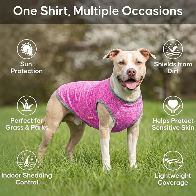 KYEESE 2Pack Dog Shirt for Small Dogs Sun Protection Tank Top for Summer | Reflective for Safety, Lightweight & Breathable, Shedding Control, Skin-Friendly for Sensitive Dogs, Easy On/Off, Quick Dry