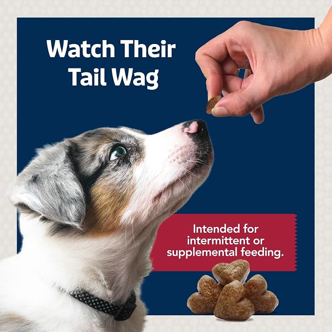 Blue Buffalo Bits Beef Training Treats, 1 oz, 12 ct | Real Beef First, DHA for Cognitive Development, No Chicken By-Product Meals, Free from Red Dye 40