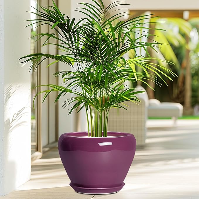 Ceramicfor Ceramic Planter - 8 Inch Plant Pot Indoor with Drainage Hole and Saucer, Glaze Decorative Planter, Round Flower Pot, Plant Lover Gifts, Home Garden Office Decor, Purple