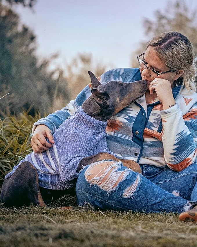 Blueberry Pet Cozy Soft Chenille Classy Striped Dog Sweater in Stonewash Blue, Back Length 12", Pack of 1 Clothes for Dogs