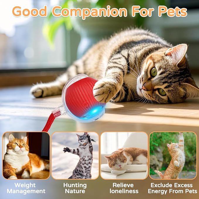 Goosheep 2025 New 3Pack Cat Ball Kitten Toys for Indoor Interactive Kitty Ball Toy Speedy Tail 360° Automatic Rolling(Red Grey Green)