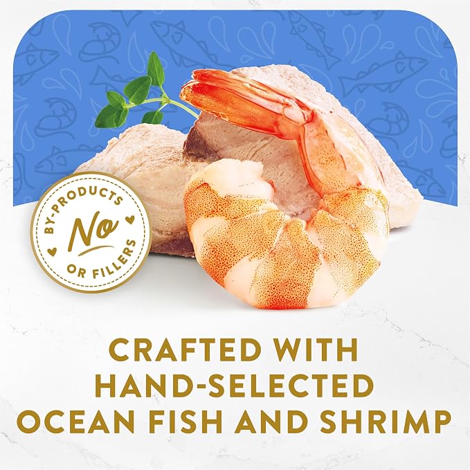 Purina Fancy Feast Lickable Appetizers Grain Free Wet Cat Food Topper Ocean Fish Appetizer with a Shrimp Cat Food Topper - (Pack of 10) 1.1 oz. Trays