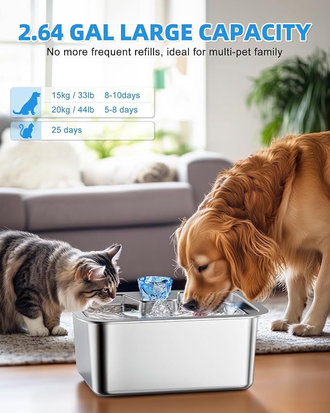 Lesotc Dog Water Fountain, 10L Stainless Steel Large Pet Fountain | Includes 4 Filters, Ultra-Quiet Pump and Circulating Flow, Automatic Dog Water Bowl for Multi-Pet Homes