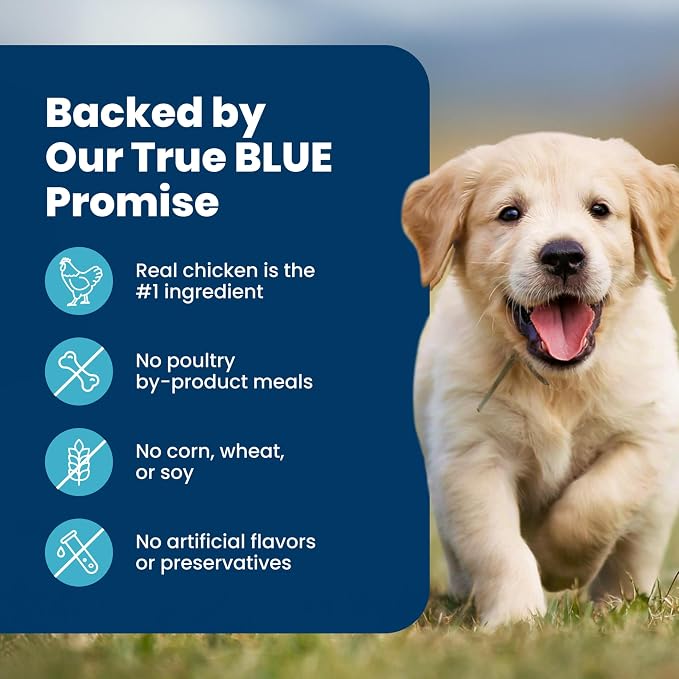 Blue Buffalo Life Protection Formula Chicken Puppy Dry Dog Food, 34 lb | With DHA for Brain Development, Real Chicken #1 Ingredient, Antioxidant-Rich LifeSource Bits, Promotes Healthy Muscle Growth