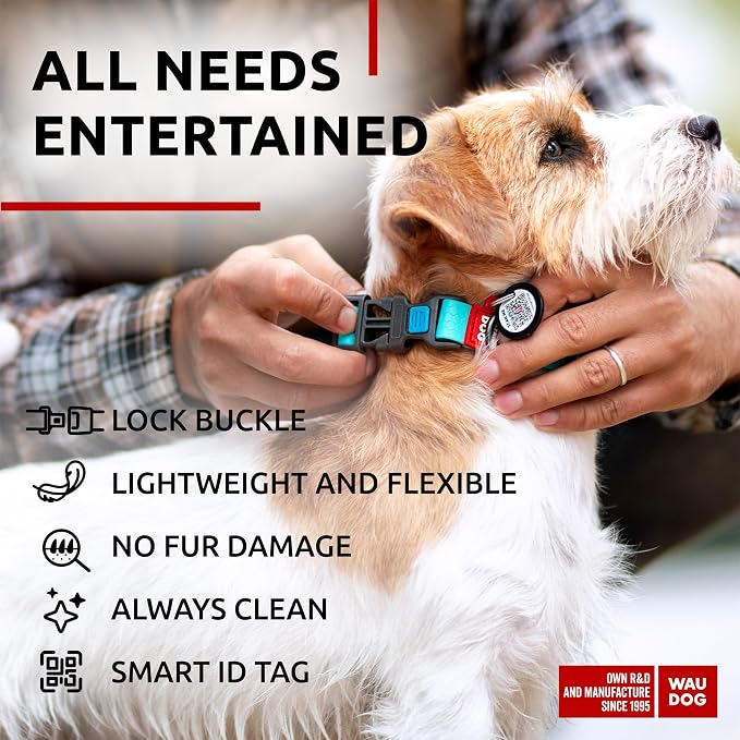 WAUDOG Waterproof Dog Collar Airtag Holder QR Tag Small Medium Large Dogs | Water and Dirt Resistant, Quick Dry QR Pet Tag Adjustable Durable Comfort for Male and Female Dogs Outdoor Walking Training