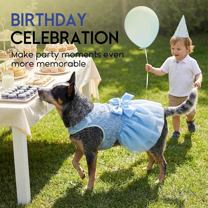 ASENKU Dog Dress Pet Wedding Dress Puppy Birthday Party Outfit, Blue XXS | Dog Flower Girl Dress With Leash Hole, Princess Puppy Dress For Weddings, Daily Wear, Fits Small Medium Large Dogs Cats