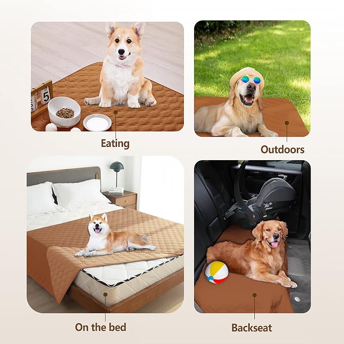 gogobunny Waterproof Blanket, Couch Covers for Dogs, Reversible Protector | 3X Stronger Leakproof, Scratch Proof Durable Furniture Protection, Stain Resistant, Washable, 30x70 Inch Dark/Light Pumpkin