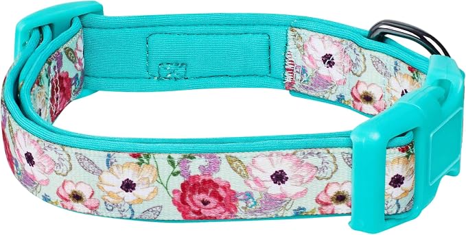 Blueberry Pet Soft & Comfy Peony Flower Print Neoprene Padded Adjustable Dog Collar, Minty Green, Large, Neck 18"-26"