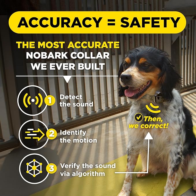 Dogtra Smart NOBARK Detects Whining and Barking, 33 ft Range App for Notifications, E-Collar, Behavior Report, Waterproof IPX9K, Compact Size for 10 lb Dogs, Triple Detection Accuracy