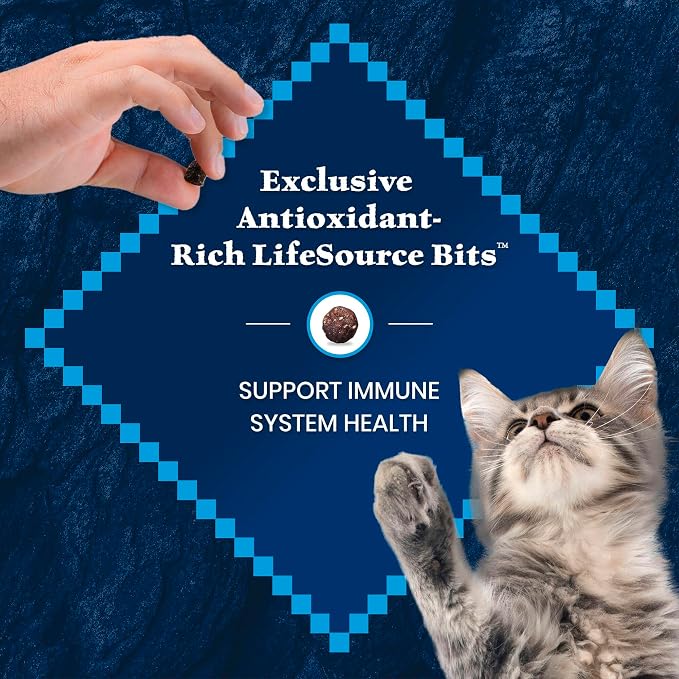 Blue Buffalo Wilderness Salmon Kitten Dry Cat Food, Grain-Free, 5 lb | High Protein, Real Salmon #1 Ingredient, DHA & ARA for Brain and Eye Development, Antioxidant-Rich LifeSource Bits