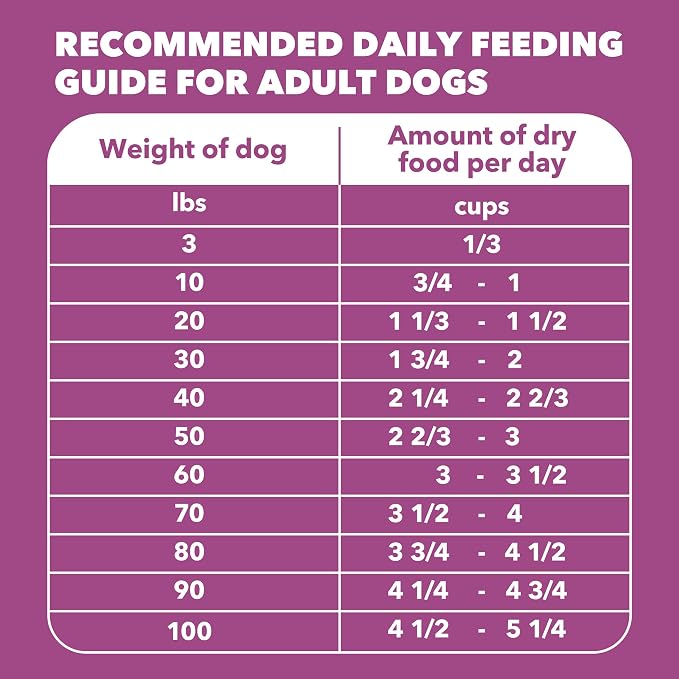 IAMS Proactive Health Healthy Aging Dry Dog Food, Chicken, 15 lb | Veterinarian-recommended, DHA Gold for mental & visual sharpness, Vitamin E & Beta Carotene, real chicken #1 ingredient