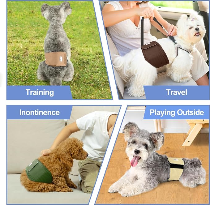 5 Pack Dog Diapers Male Reusable, Premium Belly Bands for Dogs, High Absorbing Male Dog Pee Wraps for Doggie in Incontinence or Excitable Urination Gray,Green,Brown M