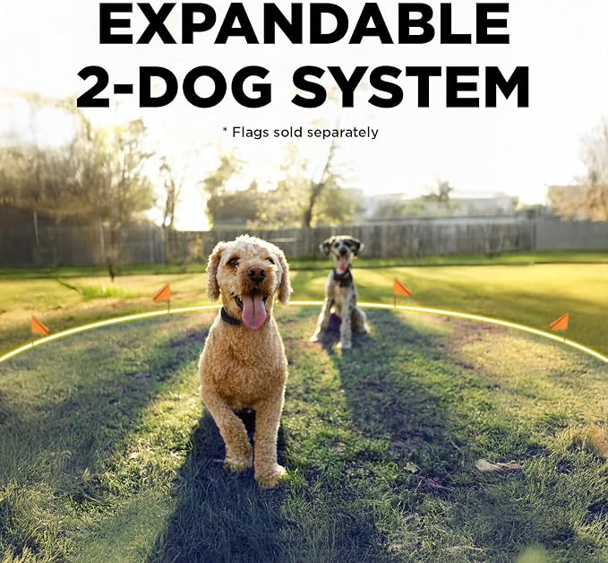 Dogtra Smart Fence Additional Receiver Only (Orange) - Expand to 2 Dogs, Requires Control Station, Wireless Electric Dog Fence System, No Subscription, 2-Tier Alarm, Tone/Vibration/Static, 35 lbs+
