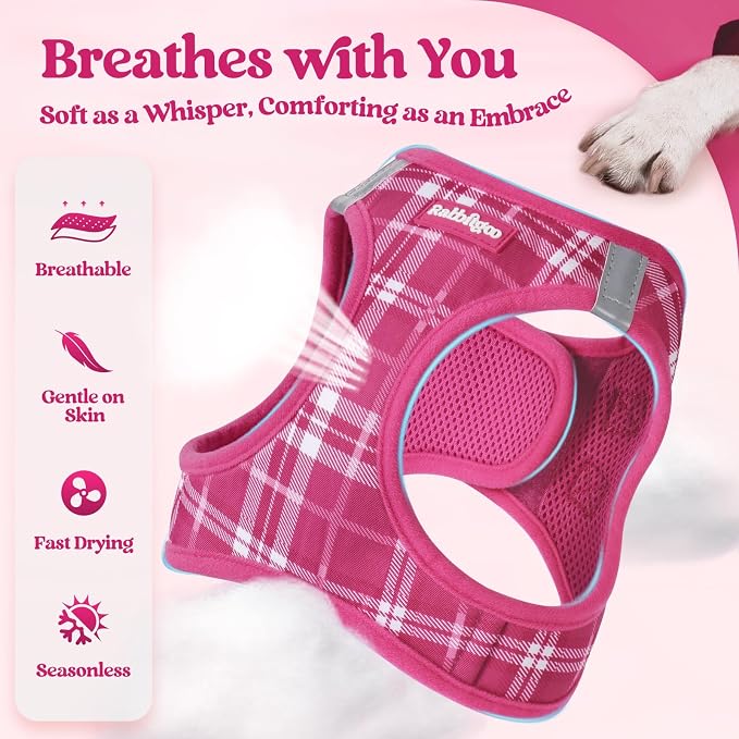 rabbitgoo Dog Harness Small Sized and Leash Set, Step-in Puppy Pet Vest | Light, Soft, Breathable Air Mesh, Easy on and Remove with Hook & Loop, Secure Reflective for Walking, Rose Red Plaid XS
