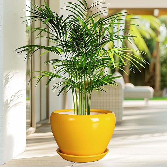 Ceramicfor Ceramic Planter - 10 Inch Plant Pot for Indoor Outdoor Plants Glaze Modern Round Planter with Drainage Hole and Saucer for Garden Office Home Room Patio Decor, Yellow